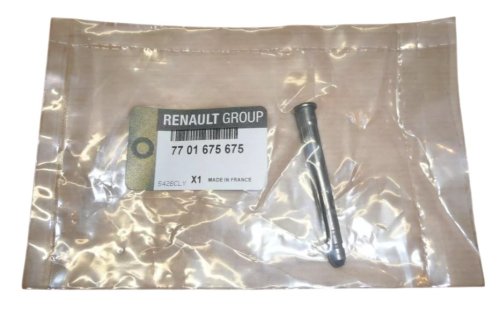 Türscharnierbolzen 7701675675 Renault Clio II Megane Original Neu