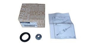 Dichtung 28x42x6 mit Mutter 1351000Q0B Renault, neu, Original