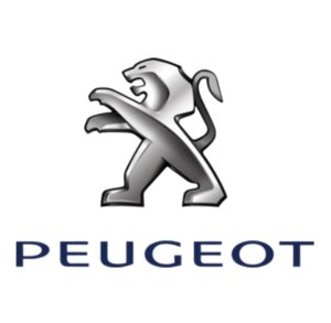 Hintere Wasserschlauchleitung 9671294980 Citroën Peugeot 1.1–1.6 Original Neu