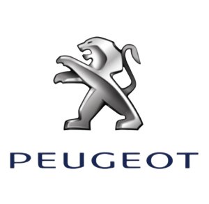 ABS-Sensor vorne 454577 4545.77 Peugeot 206 Original Neu