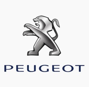 Thermostatdichtung 1340.90 134090 Peugeot Boxer III 2.2HDI Original Neu