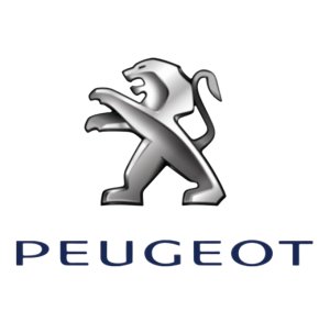 Kotflügel 9823208480 Peugeot 208 II Vorne Links Neu Original
