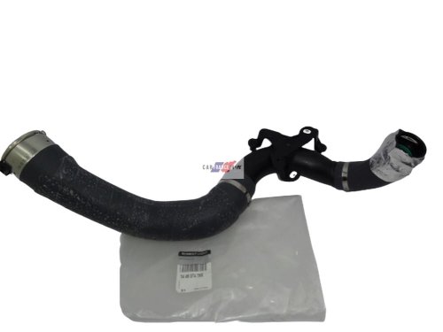 Luftleitung Scenic Megane IV 1.2 TCE 144603116R