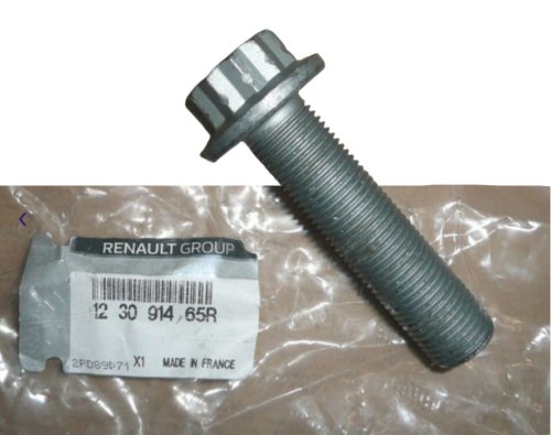 Schraube für Riemenscheibe 123091465R Renault Original