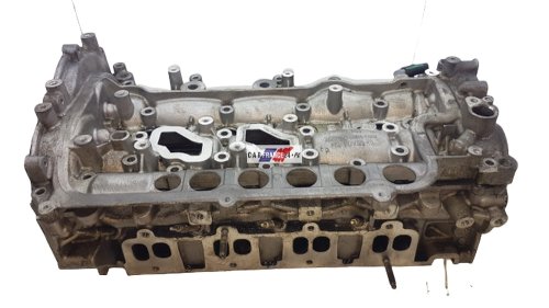 Zylinderkopf  Renault 2,0DCI 8200808824