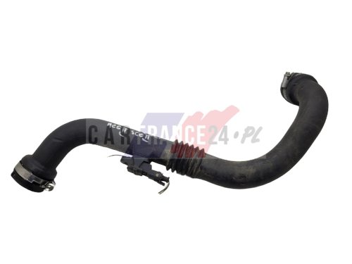 Luftleitung 1,9 DCI 8200201617 OE Renault Megane
