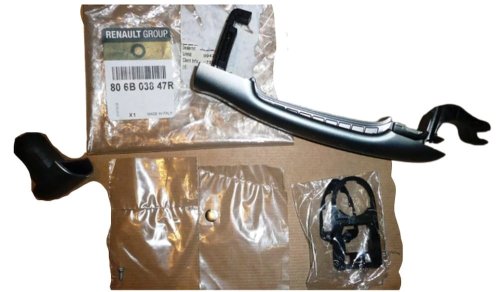 Türgriff rechts hinten 806B03847R Neu OE Renault Fluence
