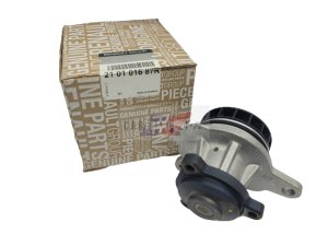 Original-Wasserpumpe Renault 2.0Dci 210101687R