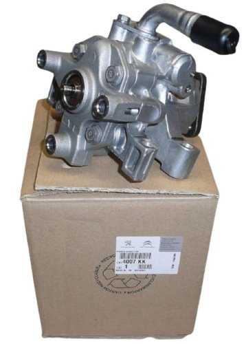 Servolenkungspumpe Jumper Boxer Ducato 4007KK