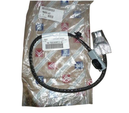 Motorleitung 1920JJ Peugeot 307 407 508 1.6HDI Original