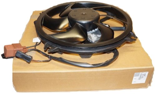 Kühlerlüfter C5 407 Original 1253R8