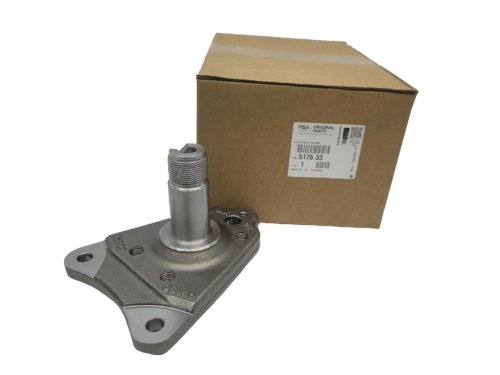 Achsschenkelbolzen Hinterrad mit Halterung 517633 Neu OE PSA C3