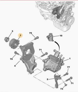 Zahnrad Steuertrieb 1,4 1,6 E-HDI 193047 9683818280 Citroen Peugeot Ford Volvo