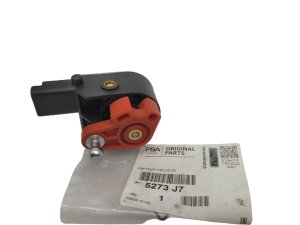 Scheinwerfermotor vorne  5273J7 Neu OE PSA C5