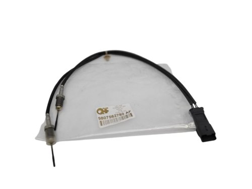 Abgastemperatursensor Original 9807562780 C4 C5 508 2.0HDI