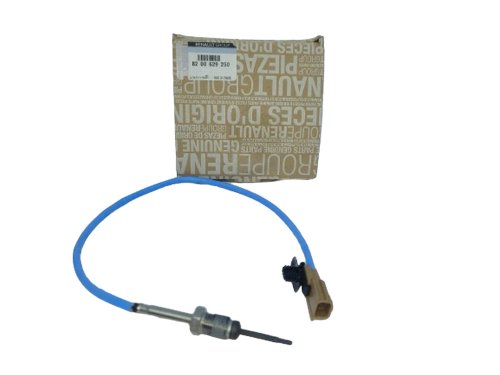 Abgastemperatursensor 8200629250 Renault Master II, Trafic II  2.5DCI Original