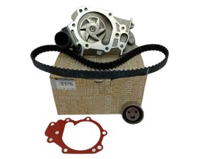 Steuerungssatz + Pumpe Original 119A03708R Clio 2 1.2D7F