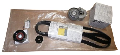 Keilriemensatz 117200713R Renault Laguna II 1.9DCI Original