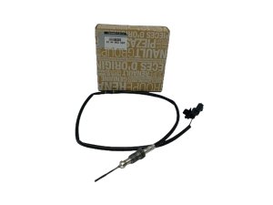 Abgastemperatursensor 226400396R  Renault Master III 2.3DCI Original
