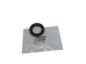 Dichtmittel für Lager 321132689R Espace Laguna Original