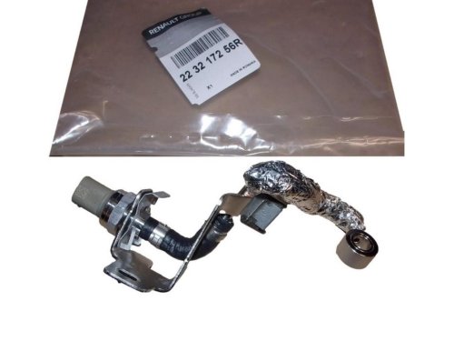 Abgasdrucksensor 223217256R Renault Master III 2.3DCI Original