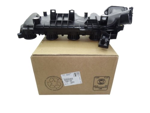 Ansaugkrümmer C4, C5, 206, 207, 407, 5008 Neu  0361N3