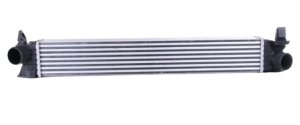 Luftkühler 1613994080 Citroen Jumper III 2.2HDI Original