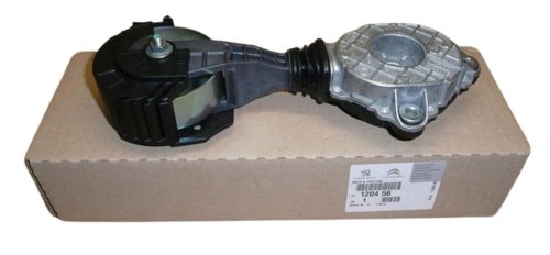 Spanner für Wasserpumpenrad 120456 1204.56 Peugeot Citroen Original