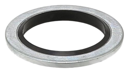 Dichtung für Ölablassschraube 110265505R Renault Original