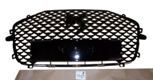 Kühlergrill 98208431XY Citroen DS3 Crossback  Original