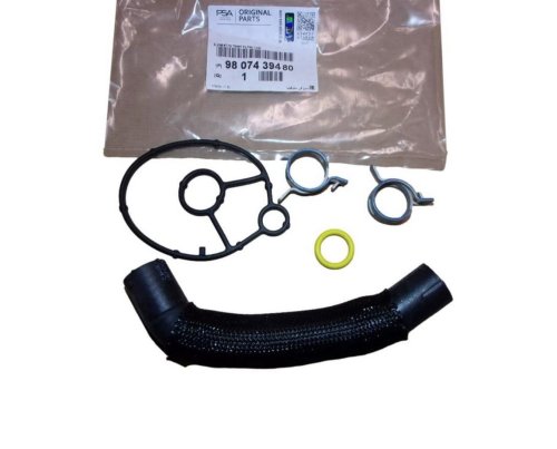 Ölfilterdichtung 9807439480 Citroen Peugeot 2.0BLUEHDI Original