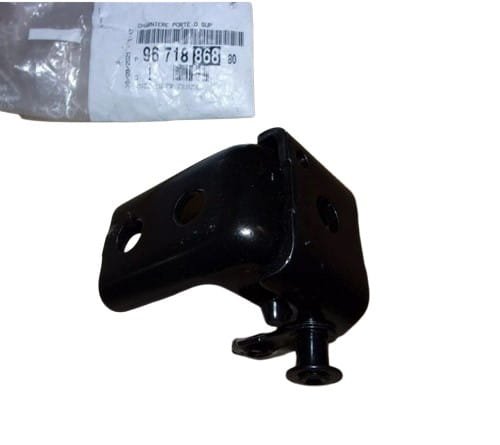Türscharnier rechts hinten 9671886880 Citroen C3 III Original