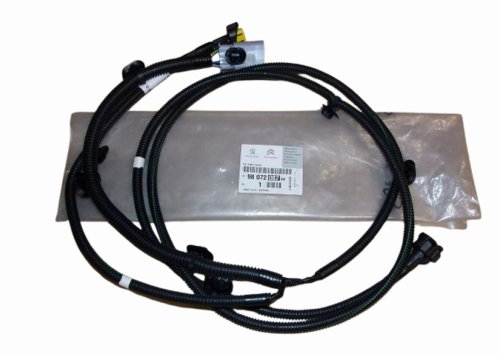 Nebelscheinwerferkabelbaum 9807208280 Citroen C4 Picasso Original