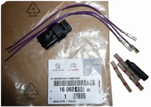 Stecker mit Park sensorsatz 1606249880 Citroen C6 Original