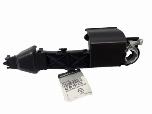 Original-Türgriffmodul 806078197R Master 3