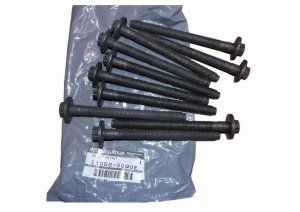 Schrauben Satz 1105600Q0E Renault 1.6DCI Original  Neu