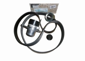 Keilriemensatz 117209956R Renault 2.0/2.3DCI Original