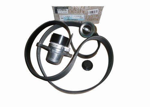 Keilriemensatz 117209956R Renault 2.0/2.3DCI Original