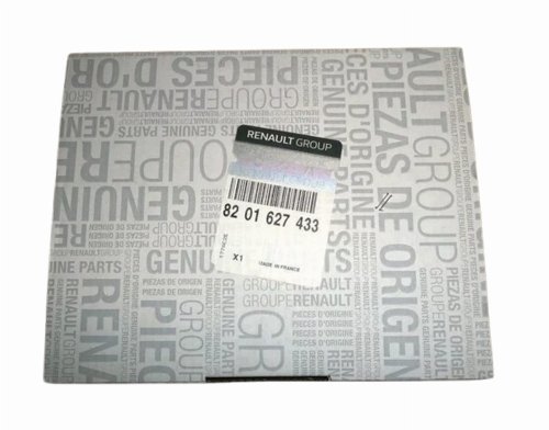 Ventile Komplettsatz 8201627433 Renault Master III Trafic II 2.3DCI Original