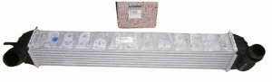 Luftkühler 144610001N Renault Laguna III  Latitude 2.0DCI/1.5DCI  Original