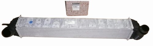 Luftkühler 144610001N Renault Laguna III  Latitude 2.0DCI/1.5DCI  Original