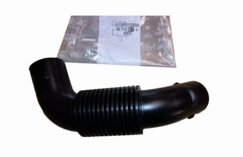 Luftleitung 9670851780 Citroen C3 III 1.2VTI Original Neu