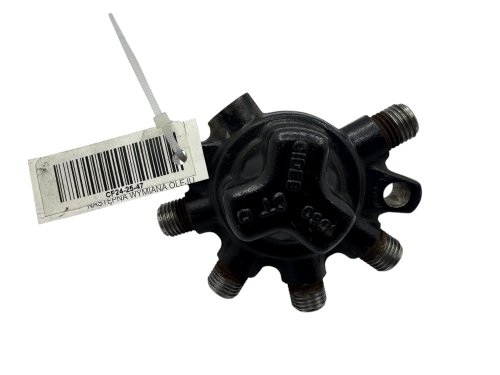 Einspritzleiste 8200379933 Renault Delphi 1,5 DCI
