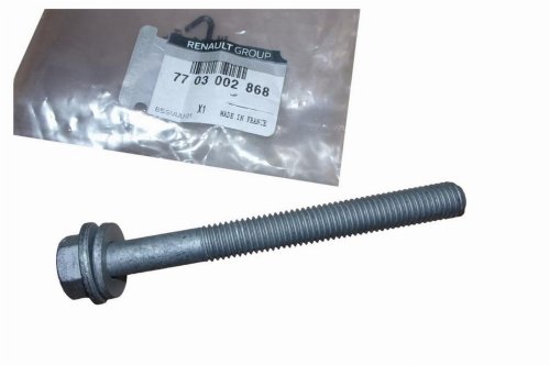 Motorlagerbolzen 7703002868 Renault Megane II Original Neu