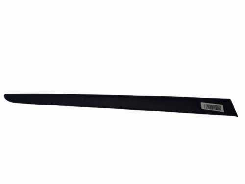 Türleiste rechts hinten Renault Clio III Kombi 8200289924