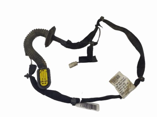 Einbau der linken hinteren Tür Renault Clio III Kombi 8200715808 8200378842