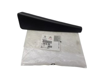 Türverkleidung hinten links 9015R5 9015.R5 Peugeot 307 Original Neu