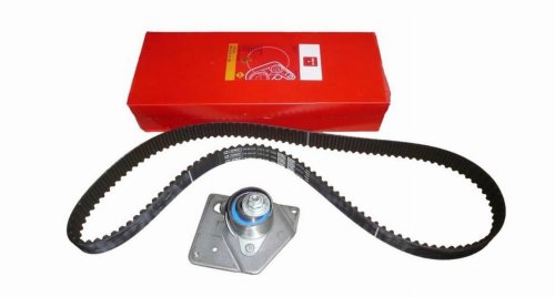 Steuerungssatz 8671019546 Renault 1.9DCI Original Neu