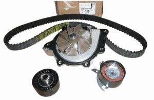 Steuerungssatz + Pumpe 1613561880 Peugeot  508 407 2.2HDI Original Neu