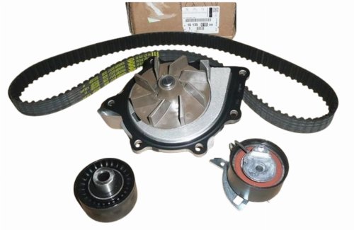 Steuerungssatz + Pumpe 1613561880 Peugeot  508 407 2.2HDI Original Neu